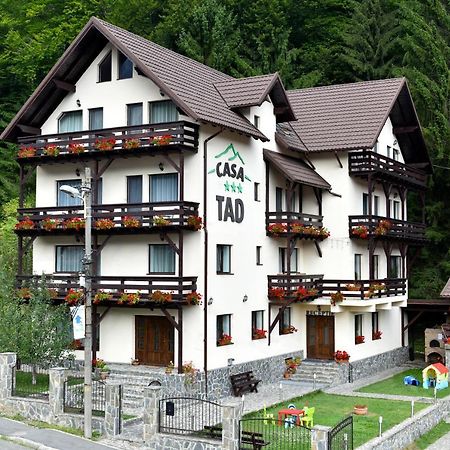 Casa Tad Hotel Szászbuda Kültér fotó
