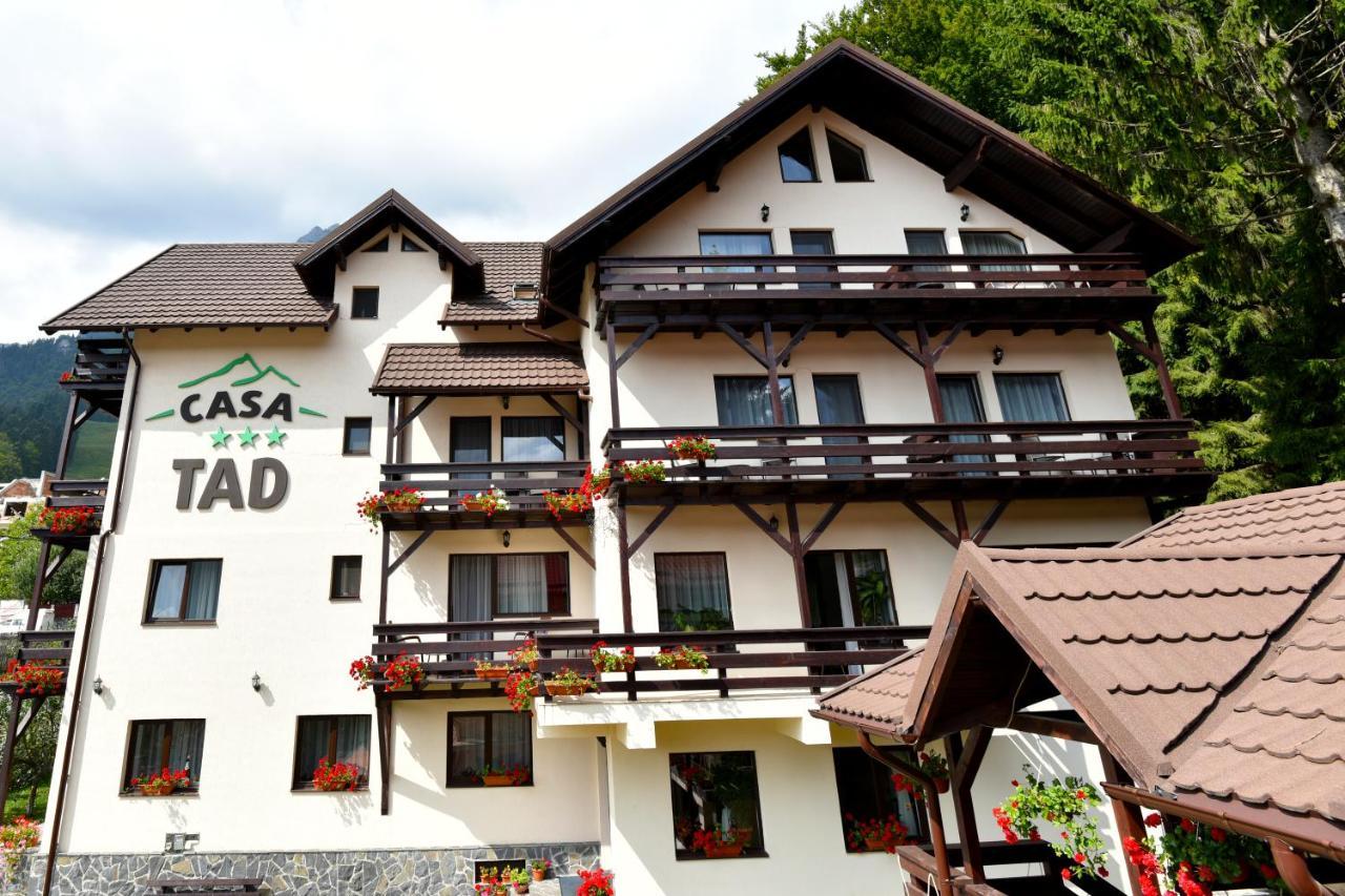Casa Tad Hotel Szászbuda Kültér fotó