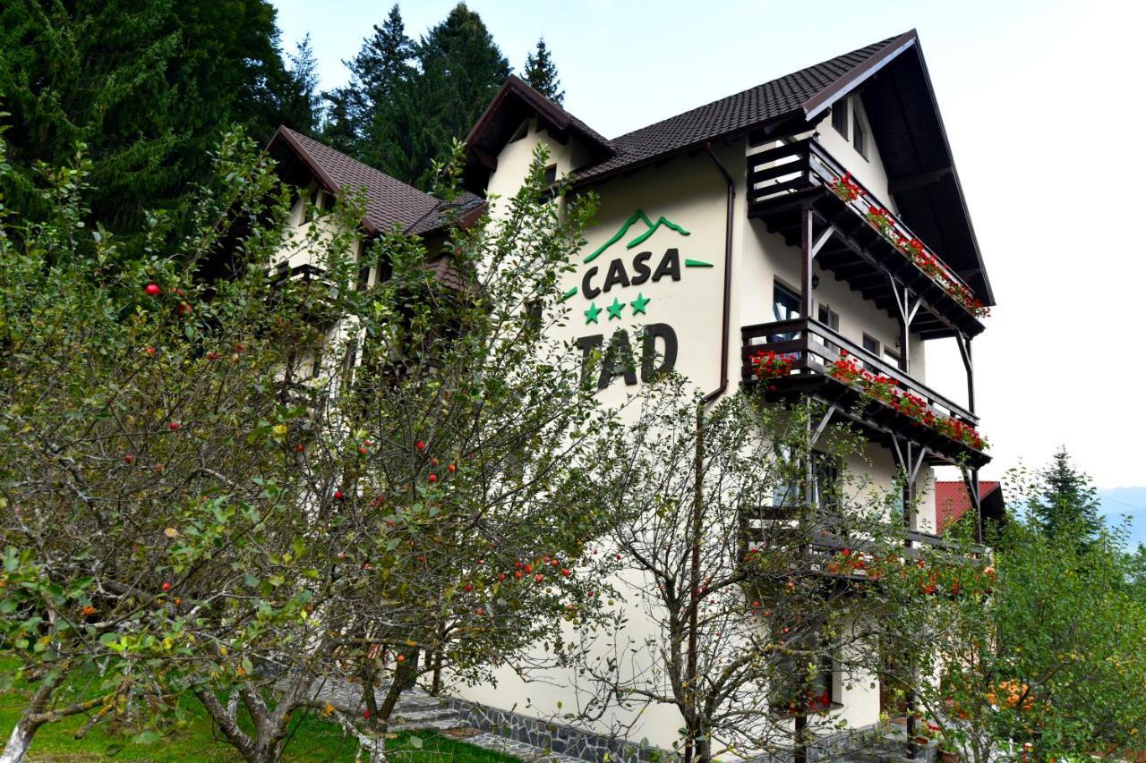 Casa Tad Hotel Szászbuda Kültér fotó