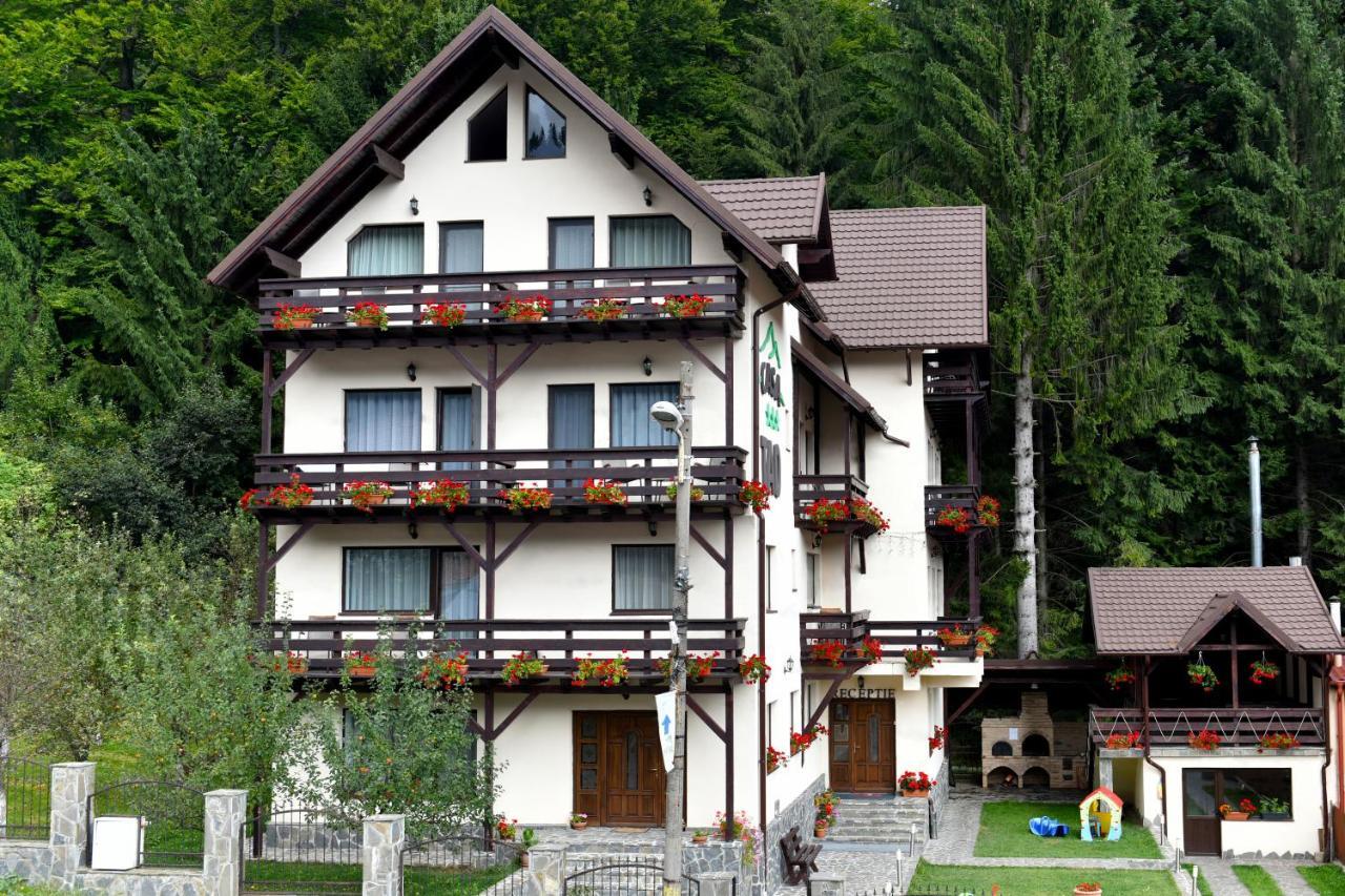 Casa Tad Hotel Szászbuda Kültér fotó