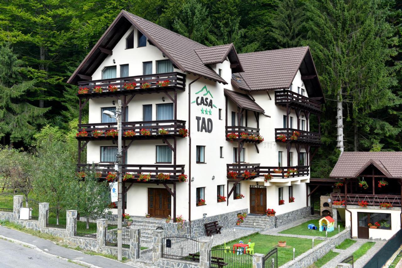 Casa Tad Hotel Szászbuda Kültér fotó