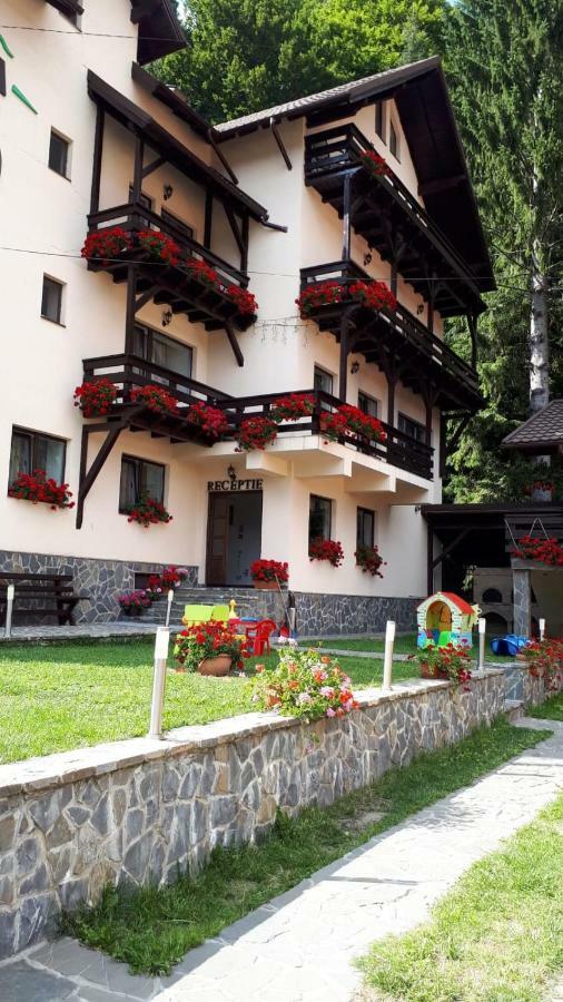Casa Tad Hotel Szászbuda Kültér fotó